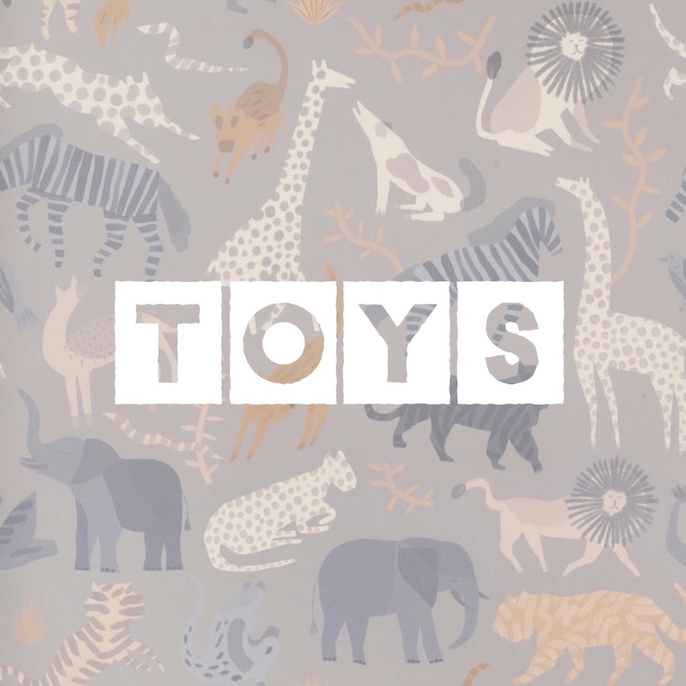 Kids Toys